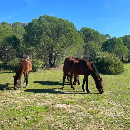 Lejlighed Quinta Do Vale Sunset São Bartolomeu de Messines
